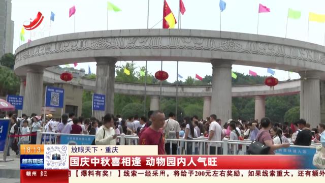 都市现场20251005