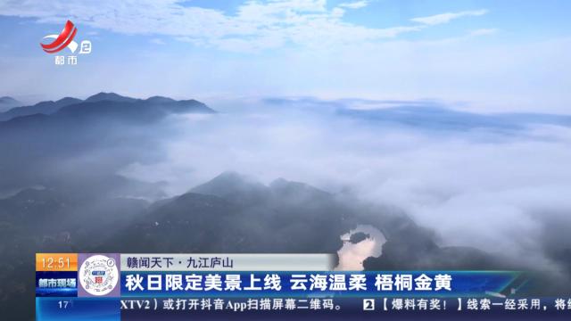 【赣闻天下】九江庐山：秋日限定美景上线 云海温柔 梧桐金黄