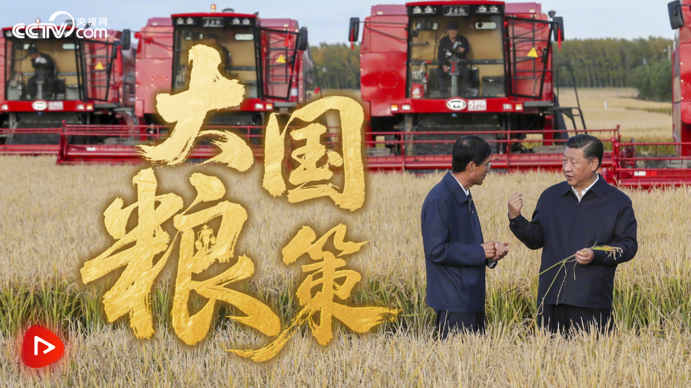 大国粮策 