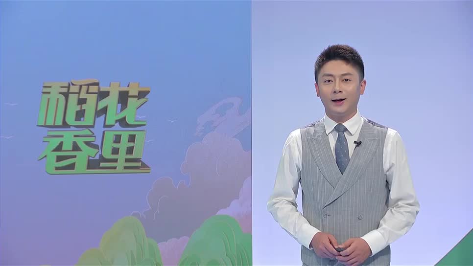 稻花香里20250930 乡村振兴进行时——乡村大集里的烟火气
