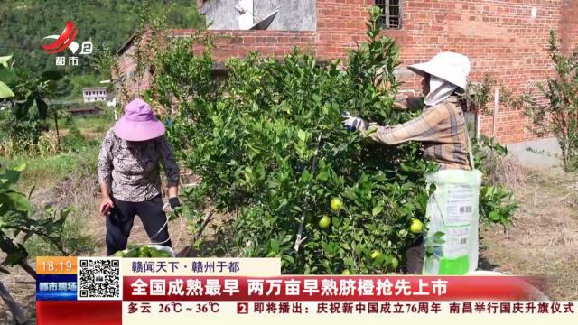 都市现场20251001