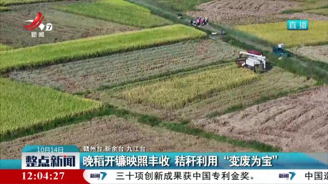 晚稻开镰映照丰收 秸秆利用“变废为宝”