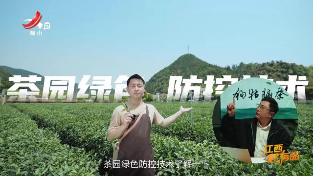 【江西超有品·遂川狗牯脑】让世界看见江西品牌