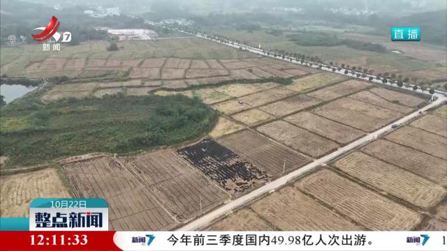 德安：清淤疏浚 护航高标准农田