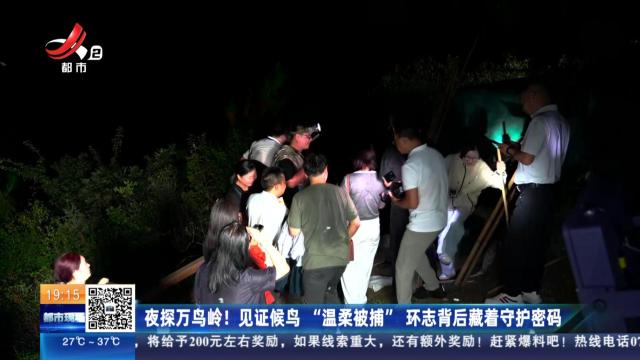 夜探万鸟岭！ 见证候鸟“温柔被捕”环志背后藏着守护密码