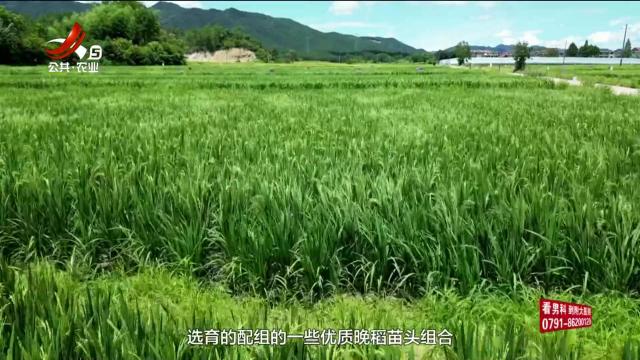 农问20251004
