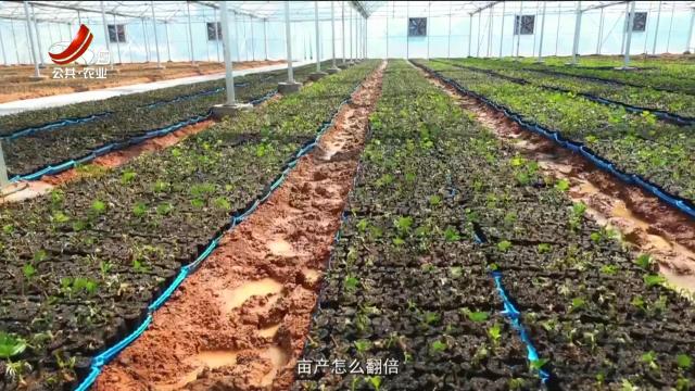 赣出精彩20251010