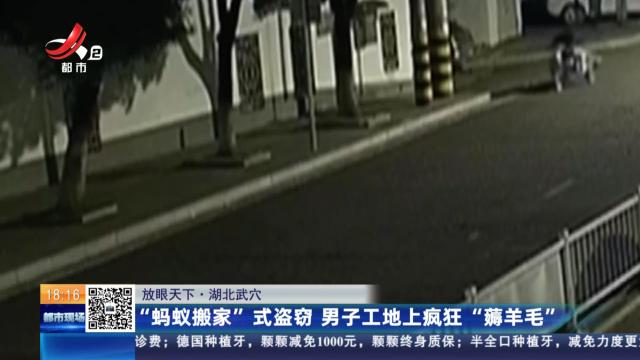 【放眼天下】湖北武穴：“蚂蚁搬家”式盗窃 男子工地上疯狂“薅羊毛”