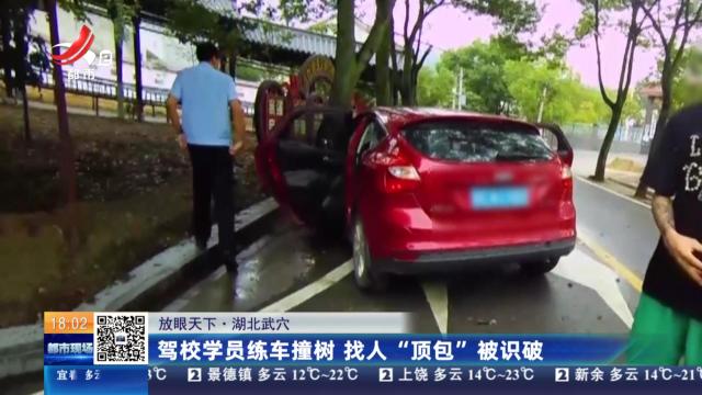 【放眼天下】湖北武穴：驾校学员练车撞树 找人“顶包”被识破