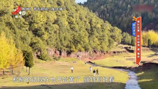 四川凉山·博什瓦黑：秋日秘境“趣”撒欢