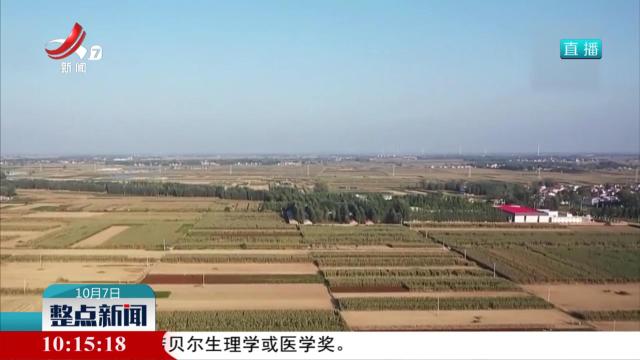 农业农村部部署秋粮抢收抢烘相关工作