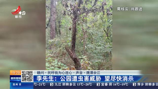 【赣问·民呼我为心连心·声音·鹰潭余江】李先生：公园遭虫害威胁 望尽快消杀