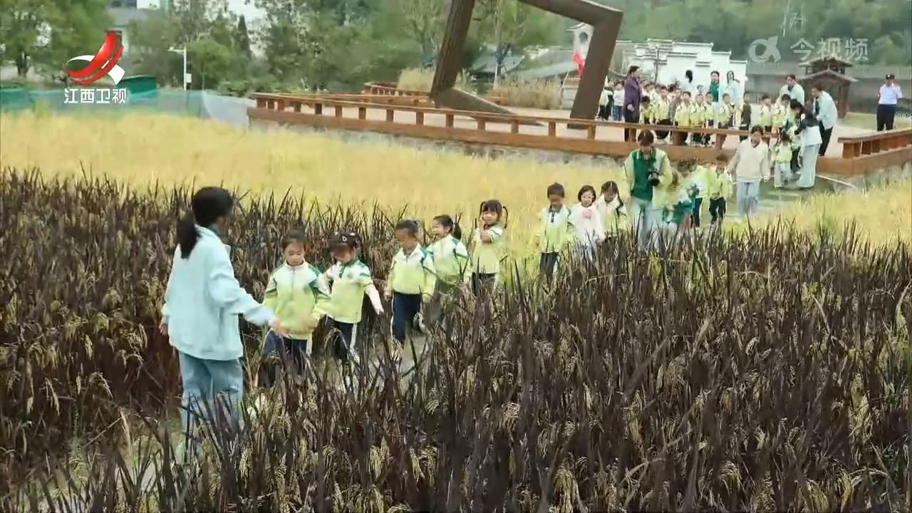 世界粮食日：爱粮节粮 保障粮食安全