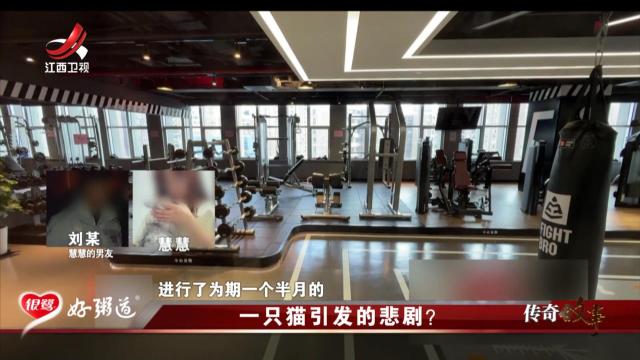传奇故事20251020 一只猫引发的悲剧？