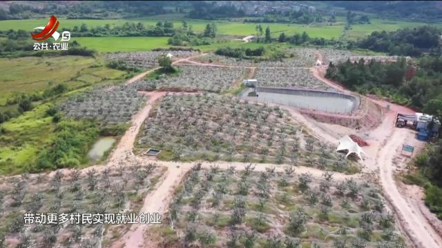 新闻晚高峰20251007