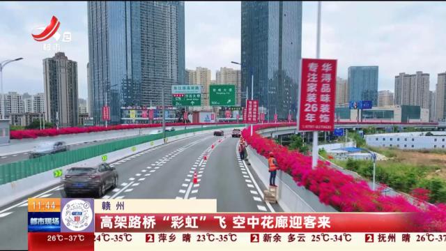 赣州：高架路桥“彩虹”飞 空中花廊迎客来