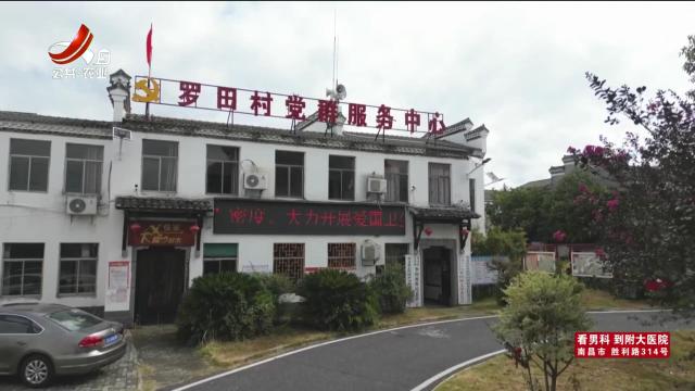 三农头条20251008