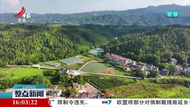 近郊休闲游受热捧 乡村采摘生意火爆