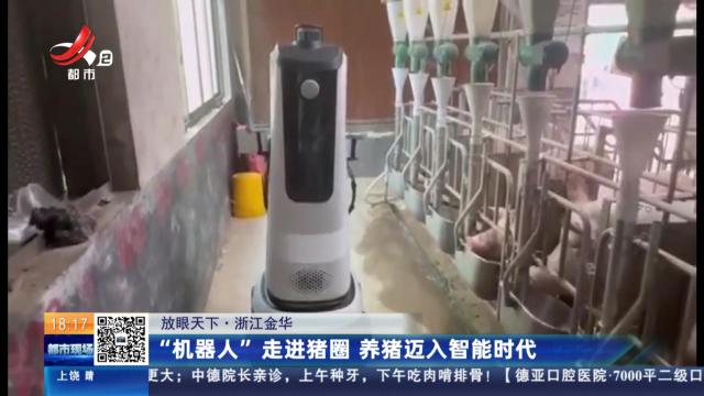 【放眼天下】浙江金华：“机器人”走进猪圈 养猪迈入智能时代