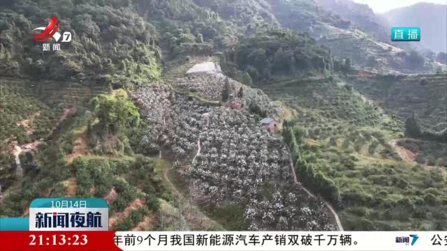 新闻夜航20251014