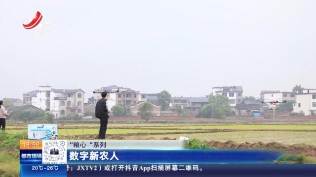 【“粮心”系列】数字新农人