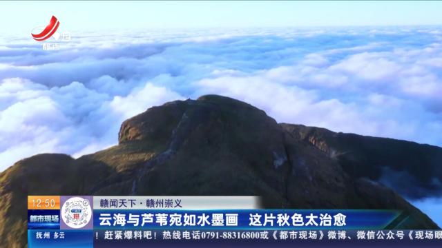 【赣闻天下】赣州崇义：云海与芦苇宛如水墨画 这片秋色太治愈