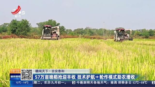 【赣闻天下】吉安泰和：57万亩晚稻抢迎丰收 技术护航+轮作模式助农增收