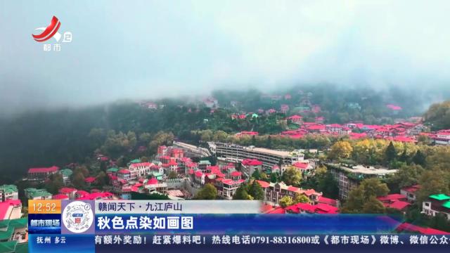 【赣闻天下】九江庐山：秋色点染如画图