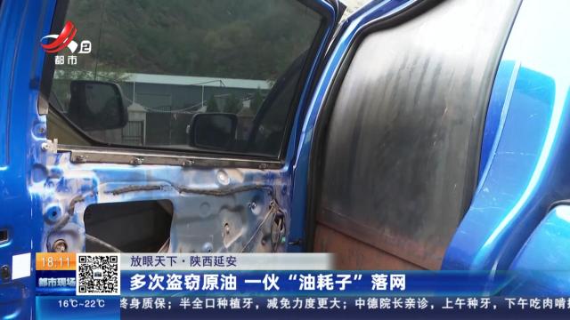 【放眼天下】陕西延安：多次盗窃原油 一伙“油耗子”落网