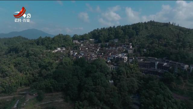 五哥帮忙团20251009