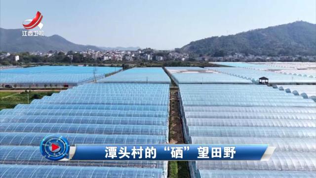 社会传真20251010 潭头村的 “硒”望田野
