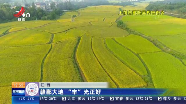 江西：赣鄱大地 “丰”光正好