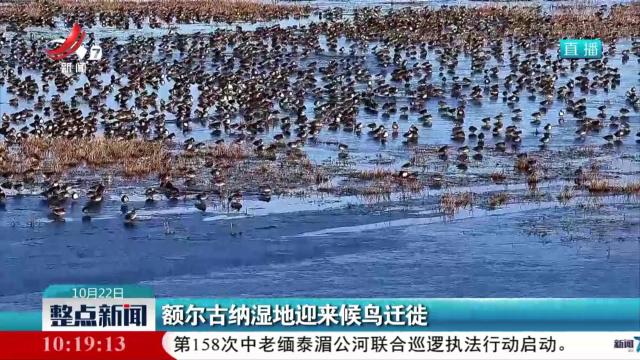 额尔古纳湿地迎来候鸟迁徙
