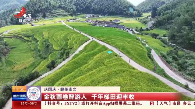 都市现场·午间版20251004