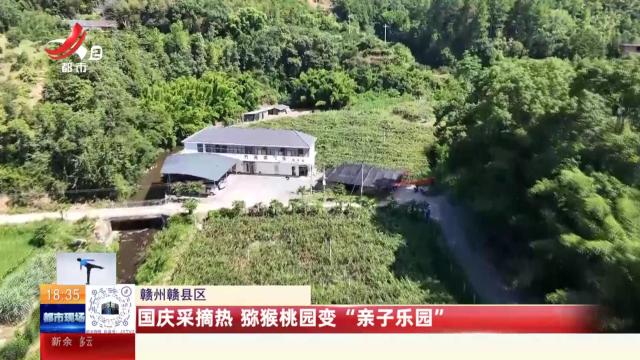 赣州赣县区：国庆采摘热 猕猴桃园变“亲子乐园”