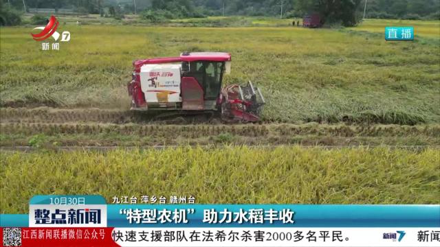 “特型农机”助力水稻丰收