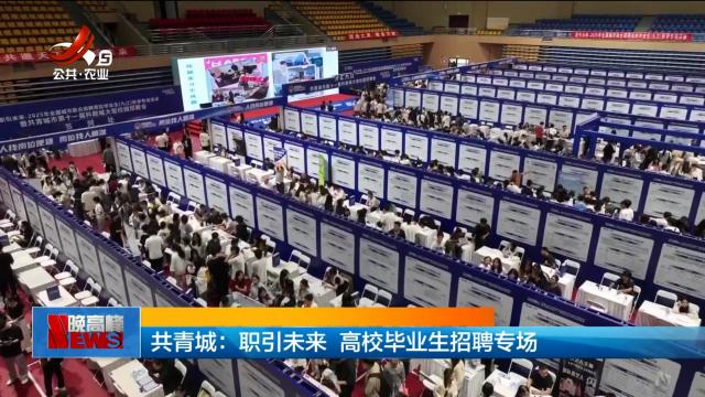 共青城：职引未来 高校毕业生招聘专场
