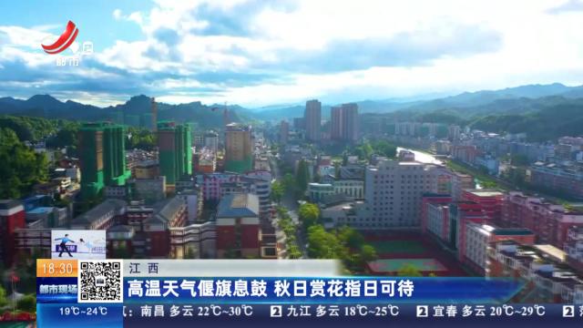 江西：高温天气偃旗息鼓 秋日赏花指日可待