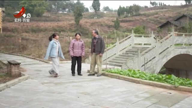 乡村栏目剧场20251021 最美的光