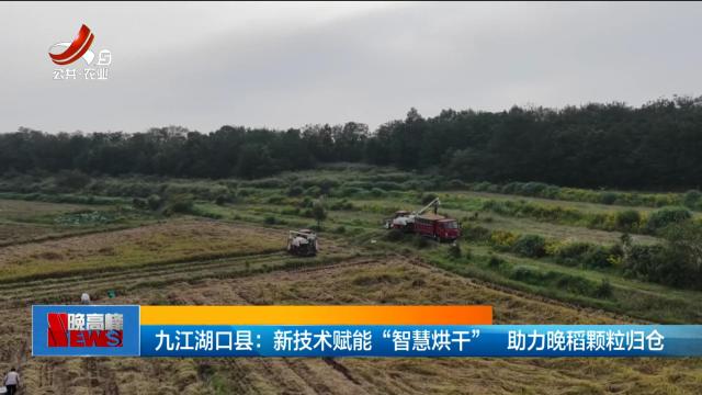 九江湖口县：新技术赋能“智慧烘干” 助力晚稻颗粒归仓