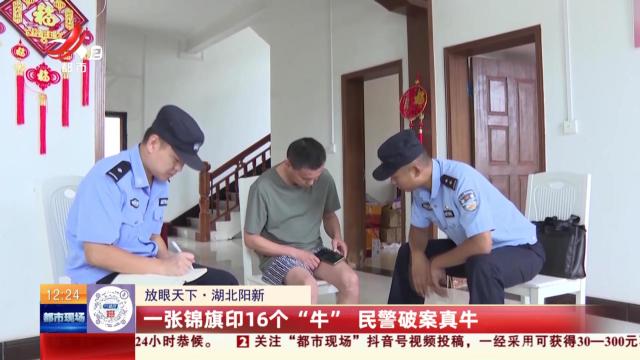 【放眼天下】湖北阳新：一张锦旗印16个“牛” 民警破案真牛