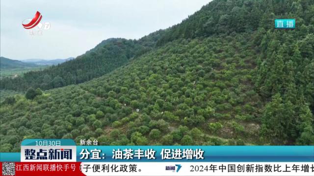 分宜：油茶丰收 促进增收