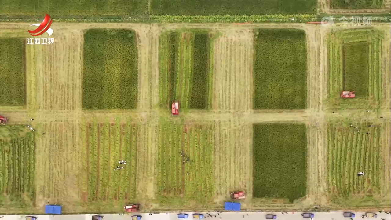 江西新闻联播20251015