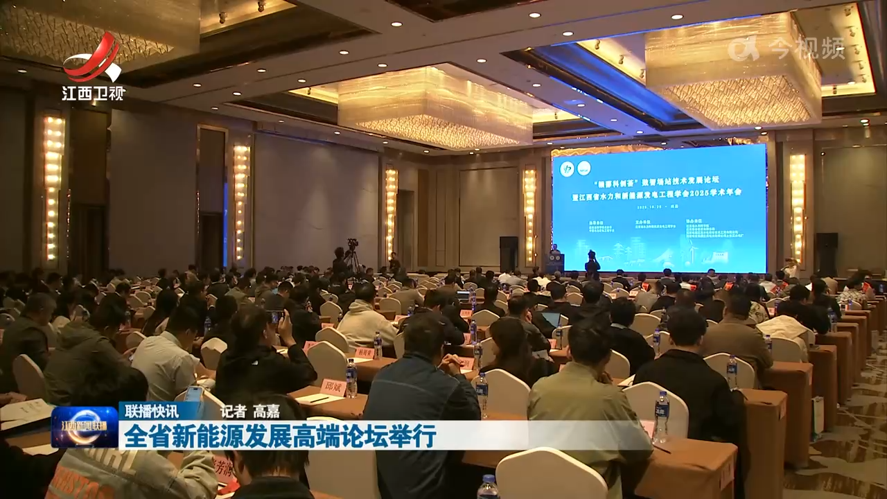全省新能源发展高端论坛举行