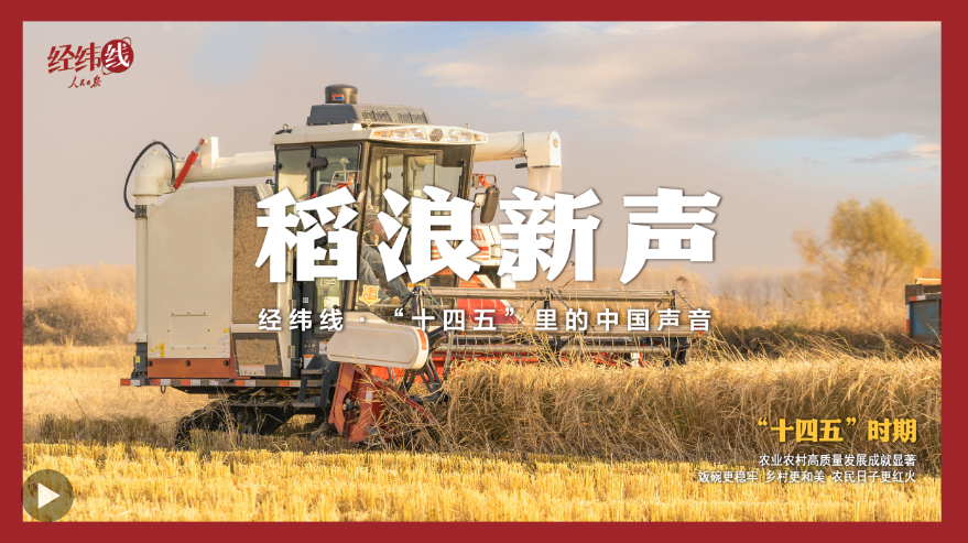 经纬线·稻浪新声 