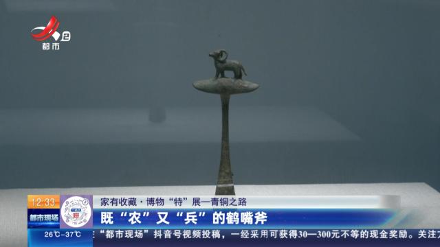 【家有收藏·博物“特”展——青铜之路】既“农”又“兵”的鹤嘴斧
