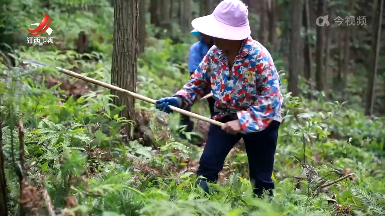 全省首本自然保护区地役权证发放