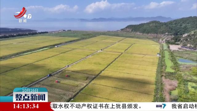 整点新闻20251016 14:00