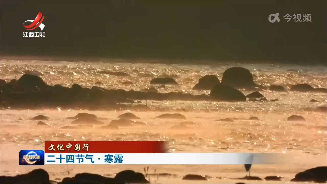 【文化中国行】二十四节气·寒露