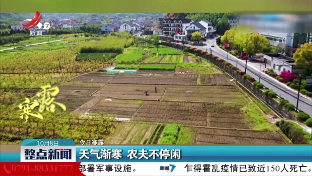 整点新闻20251008 14:00